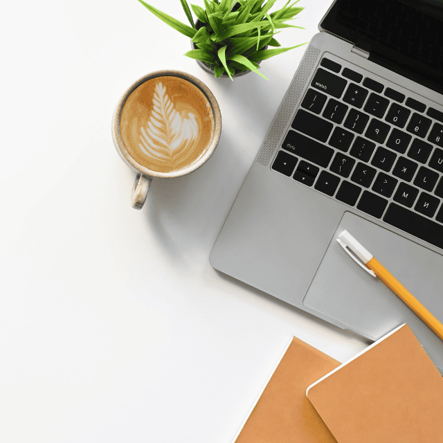 contato seo e marketing ana lopes